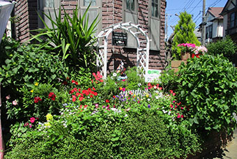 写真:加藤宅の庭