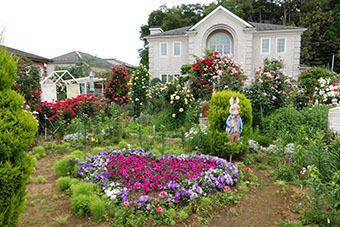 写真:福山宅の庭