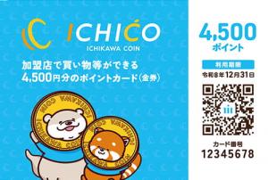 画像:ICHICO(イチコ)定額カード