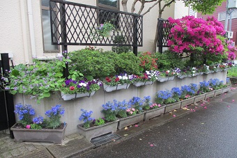 写真：戸邊宅の庭