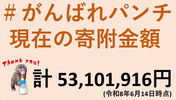 画像：＃がんばれパンチ   現在の寄附金額計 53,101,916円(令和8年6月14日時点)