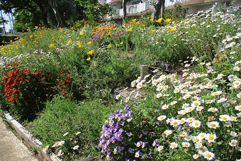 写真：ハイタウン塩浜の庭
