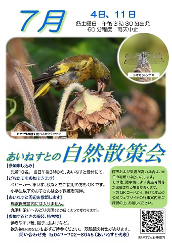 令和8年7月の自然散策会のポスターです。