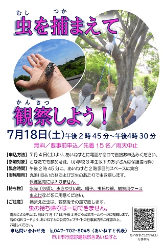 令和8年7月18日土曜日 虫を捕まえて観察しよう のポスターです。
