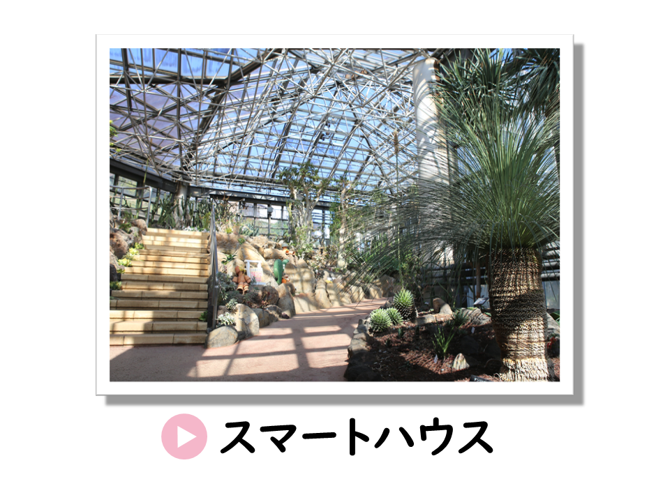スマートハウスの補助金についてのURL