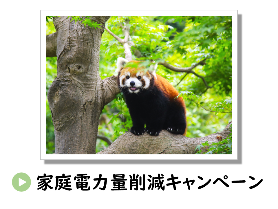 家庭電力使用量削減キャンペーンのURL