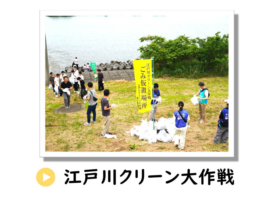 江戸川クリーン大作戦についてのURL