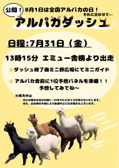 アルパカダッシュイベントの案内画像