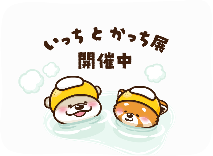いっちとかっち展開催中