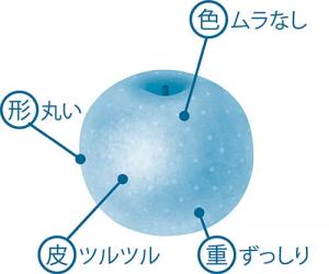 美味しいなしの画像