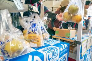 市川のなしフェア画像