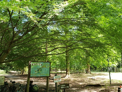 写真:いちかわ市民キャンプ場