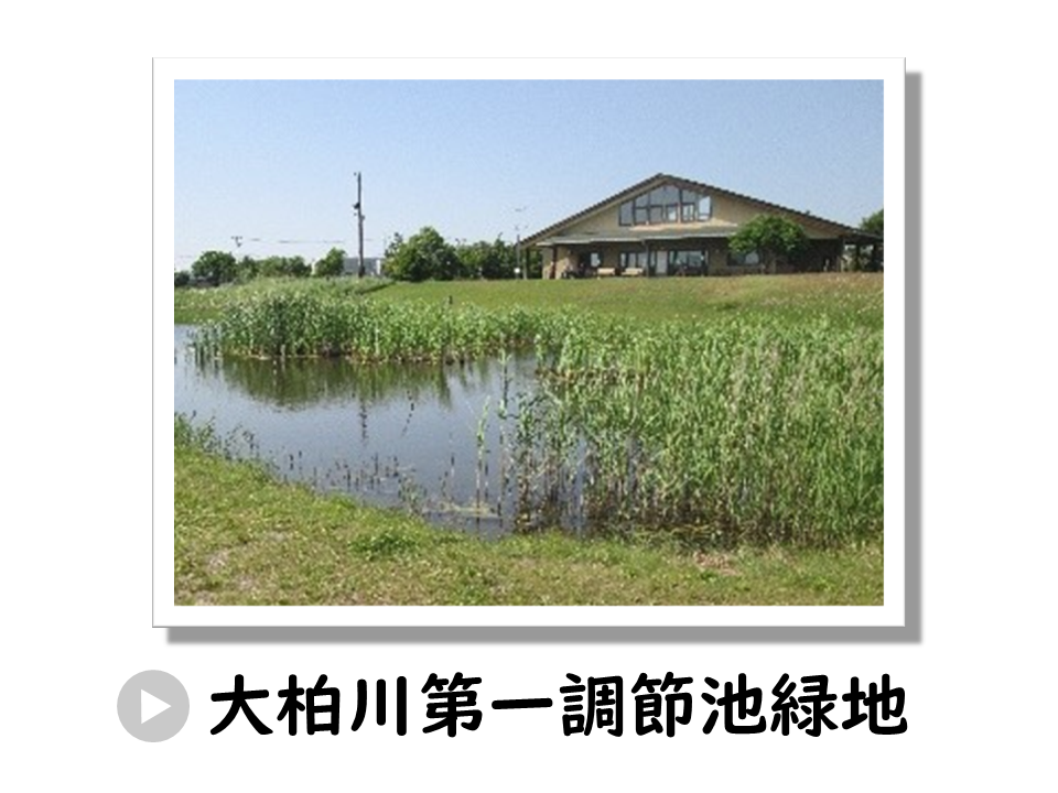 大柏川第一調節池緑地についてのURL