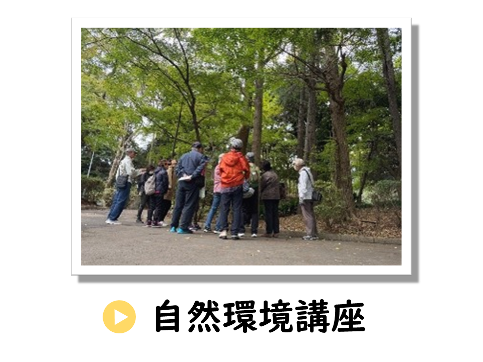 自然環境講座に関するURL
