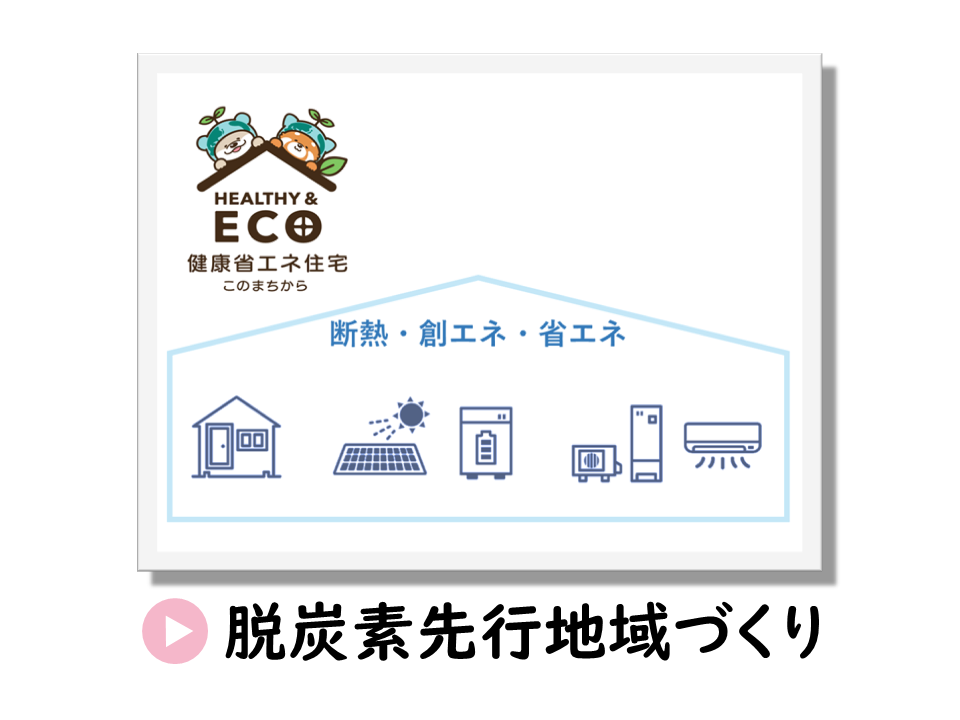 脱炭素先行地域づくりの補助金についてのURL