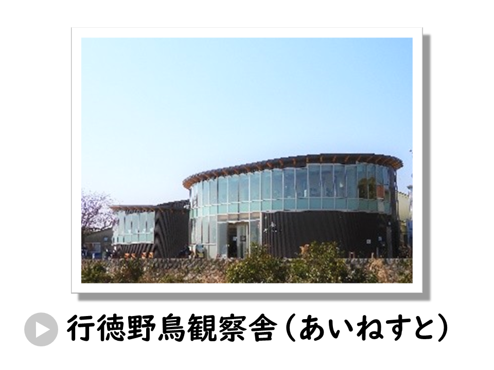 行徳野鳥観察舎（あいねすと）についてのURL