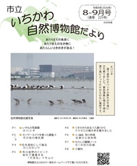 博物館だより225号表紙