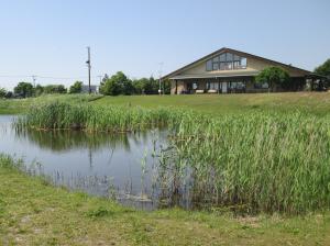 大柏川第一調節池緑地の写真