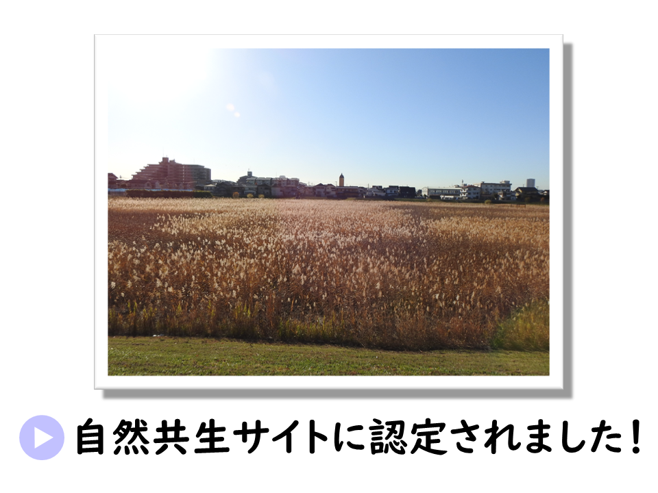 自然共生サイト認定に係るURL