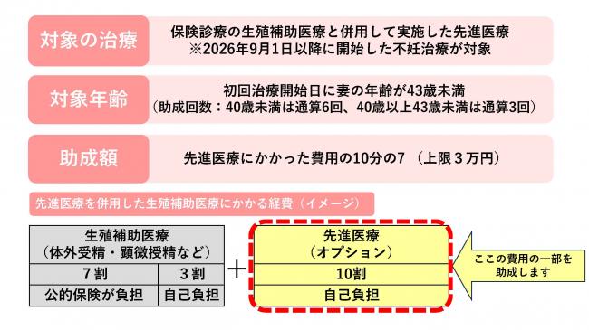 概要