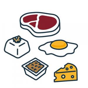肉、豆腐、卵等たんぱく質が豊富な食品のイラスト