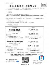 チラシ