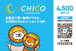 イラスト:ICHICO定額カード