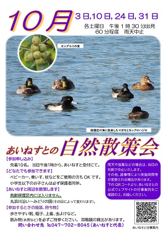 令和8年10月のあいねすとの自然散策会のポスター画像。3日、10日、24日、31日各土曜日午後1時30分出発 歩きやすい靴、帽子、上着、虫よけなど。水筒などを