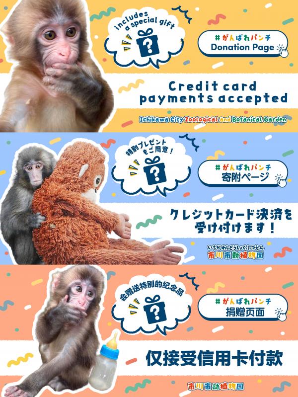 画像：バナー