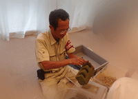 学芸員さんの解説の様子です。の画像