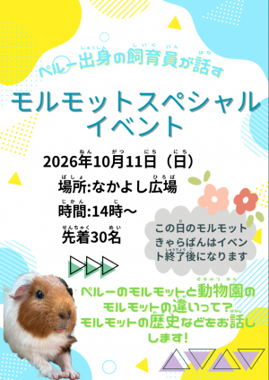 モルモットスペシャルイベント