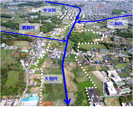 大柏川の上流河川