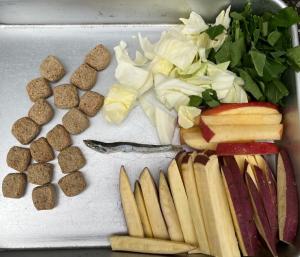 写真:ブラットのご飯
