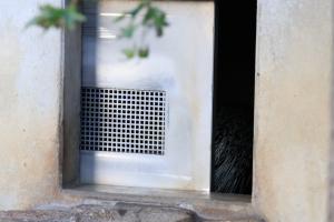 写真：お部屋の中にうっすらと見えるブラット