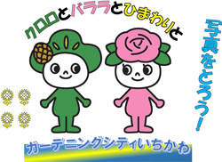 「クロロとバララとひまわりと」写真をとろう!キャンペーン画像 「クロロとバララとひまわりと」写真をとろう!キャンペーン画像