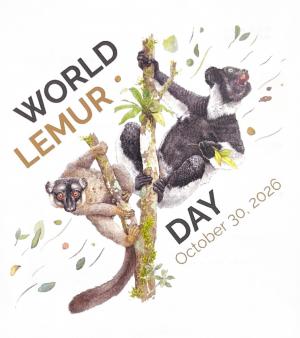 世界キツネザルの日
