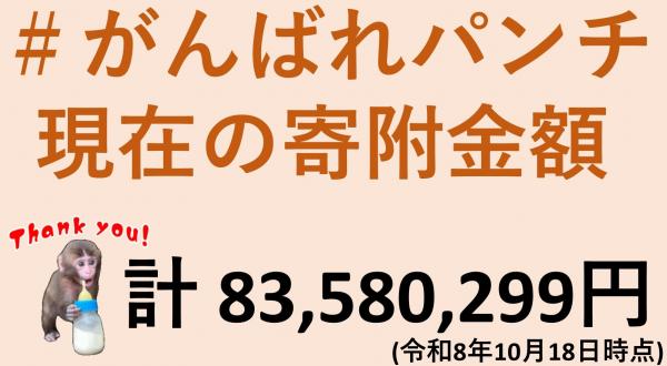 画像:現在の寄附額(10月18日現在)