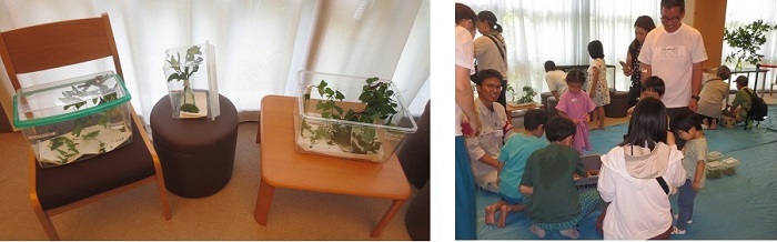 写真：生きている虫が図書館にやってくる 会の様子