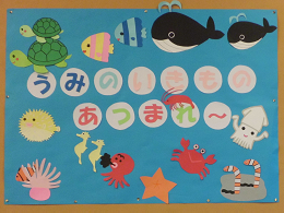 うみのいきものあつまれー展示写真 うみのいきものあつまれー展示写真