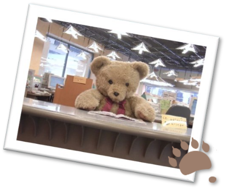 写真：市川市立図書館の受付で本を読むくまのぬいぐるみ