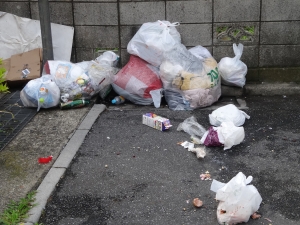 写真：カラスに荒らされたあとの集積所