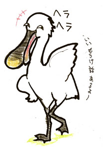 ヘラサギの画像 ヘラサギの画像