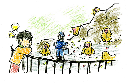 サル山の画像 サル山の画像