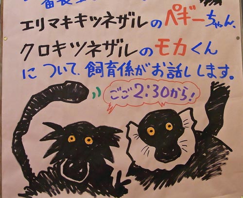 完成イラストの画像