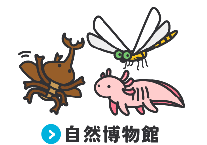 	画像リンク：自然博物館	