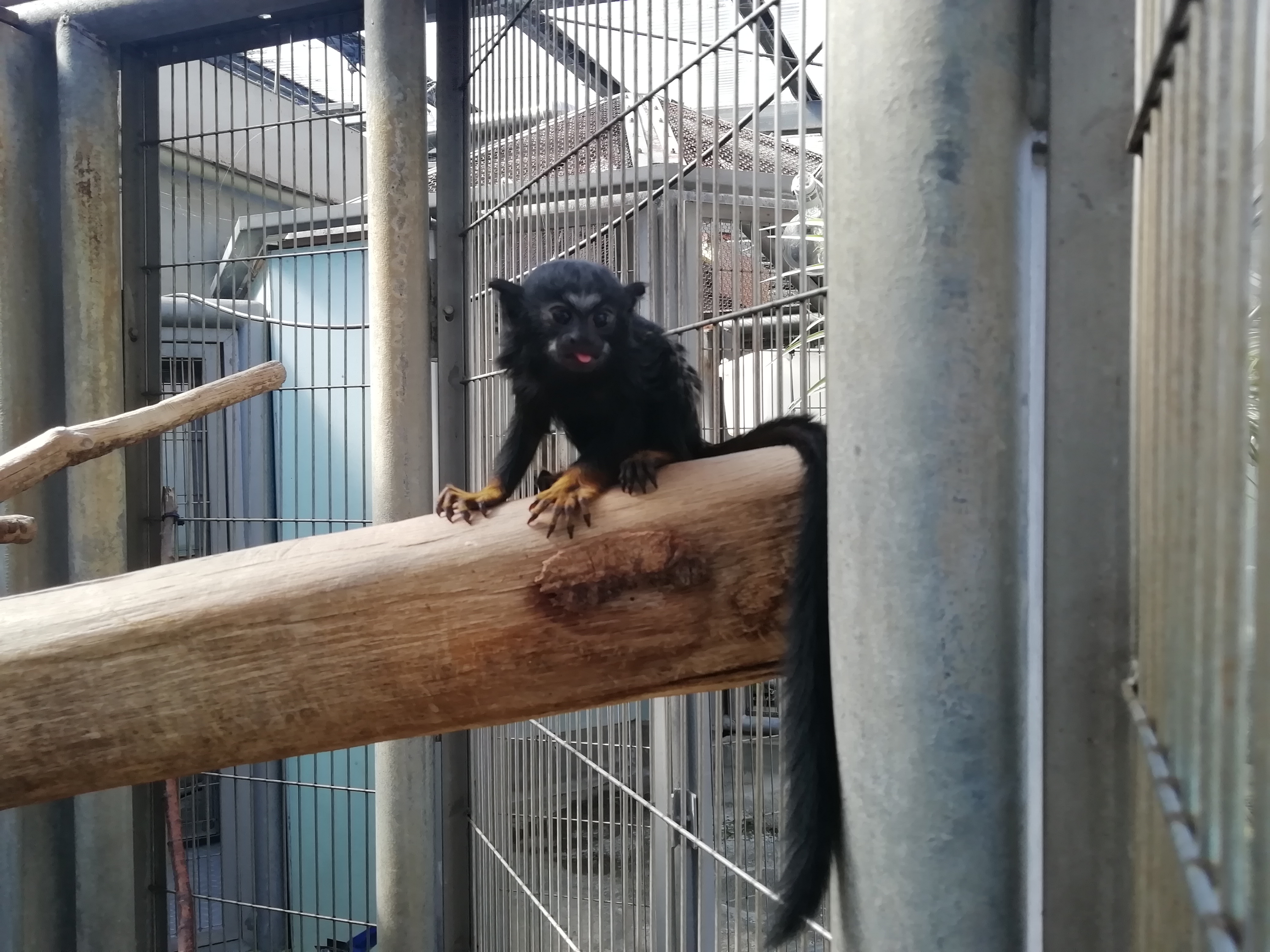 赤ちゃんの写真3