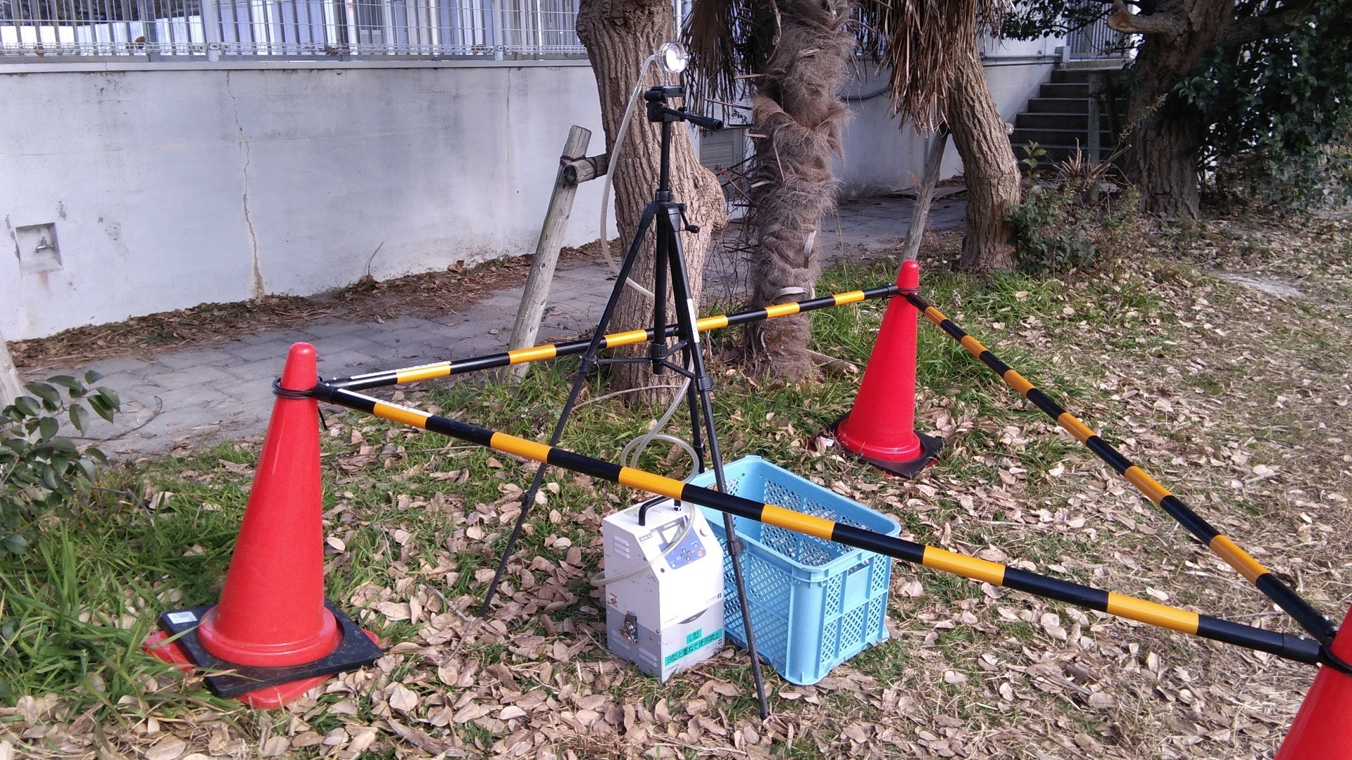写真:測定の様子