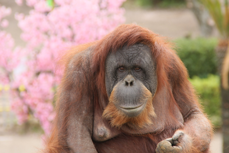 写真：2023年撮影のスーミー