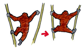 ツリーウェイのイラスト