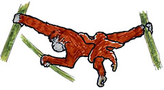 ブリッジのイラスト